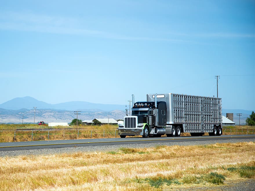 truck on the road